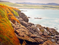 Organe Flowers on Rocky Beach